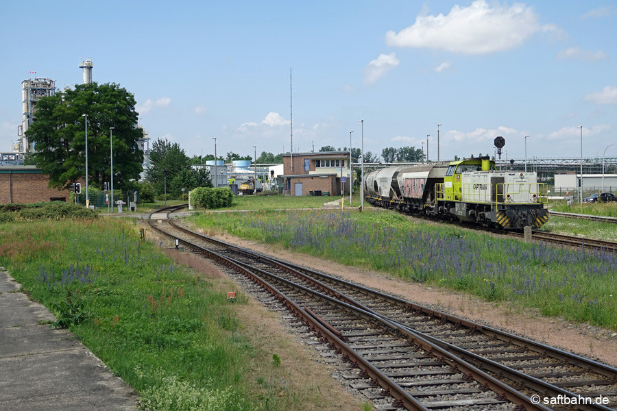 RBB-Lok 1116 neben dem einstigen Bahnhaltepunkt Grube Antonie.