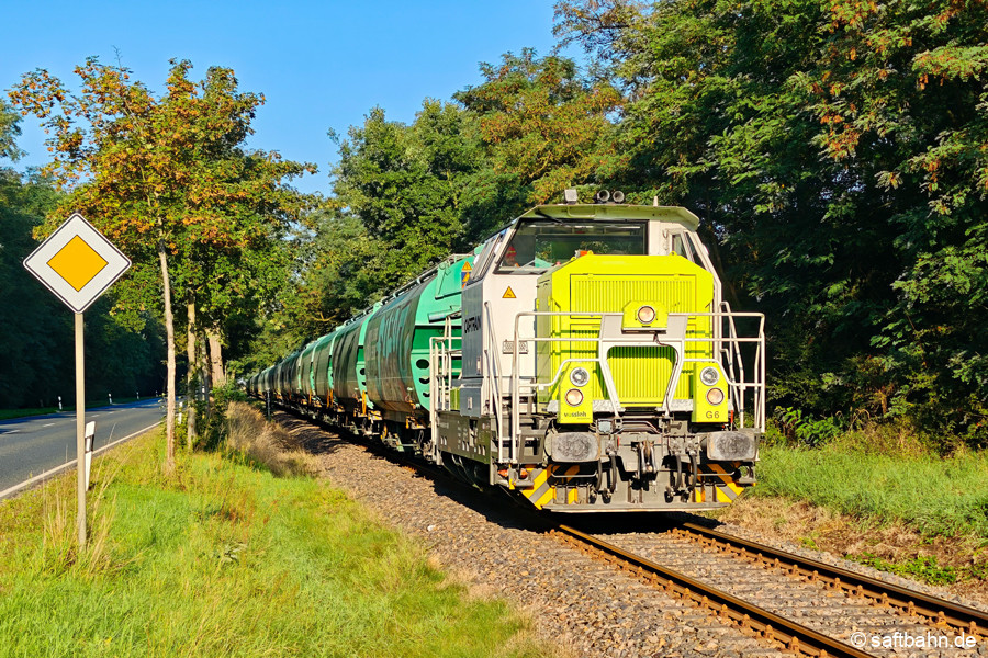 Im Stakendorfer Busch zwischen Heideloh und Sandersdorf.