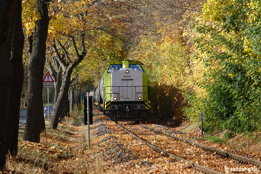 Im Blätterwald vom Starkendorfer Busch: Auf herbstgoldenem Schienenstrang fährt V141 Sandersdorf entgegen.