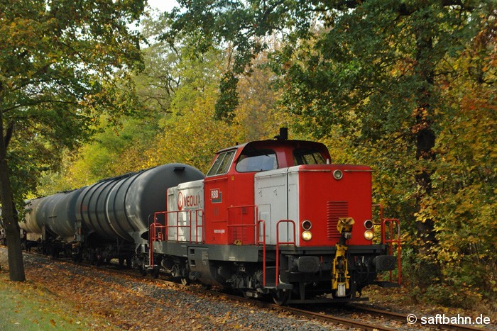 Recht herbstlich wirkte am 12.10.2009 bereits der Stakendorfer Busch, einem Waldgebiet zwischen Sandersdorf und Heideloh. Aus Bitterfeld Nord kommend, V133 schiebt an diesem Tag einen Leerkesselzug nach Zörbig 