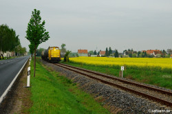 Bild des Monats