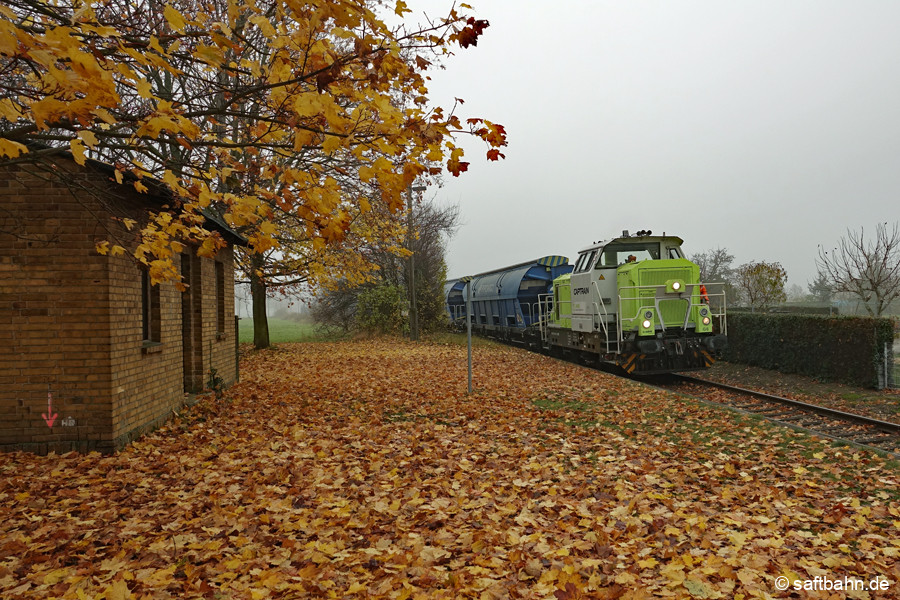 Herbstlich-Trüb zeigte sich am 12.11.21 der ehemalige Haltepunkt in Heideloh. Lok 650 093 rollt mit einem Agrozug aus Zörbig am 