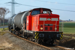 Bild des Monats Februar 2026